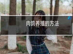 肉鸽养殖的方法