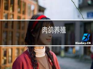肉鸽养殖