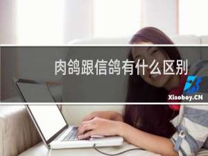 肉鸽跟信鸽有什么区别