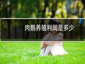 肉鹅养殖利润是多少