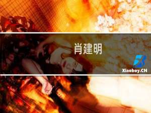 肖建明