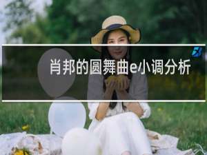 肖邦的圆舞曲e小调分析