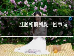 肛肠和前列腺一回事吗