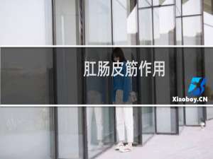 肛肠皮筋作用
