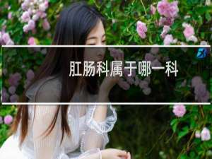 肛肠科属于哪一科