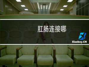 肛肠连接哪