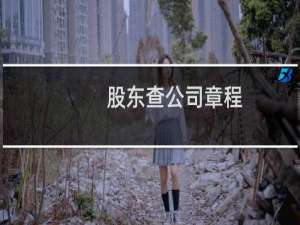 股东查公司章程