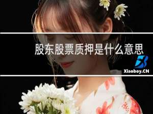 股东股票质押是什么意思