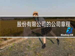 股份有限公司的公司章程