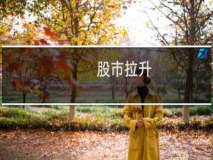 股市拉升