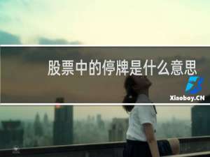 股票中的停牌是什么意思