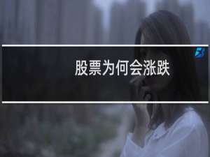 股票为何会涨跌