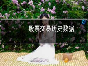 股票交易历史数据