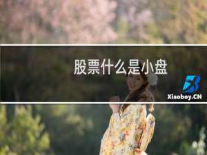股票什么是小盘