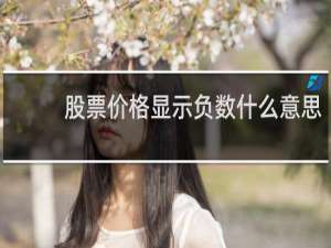 股票价格显示负数什么意思