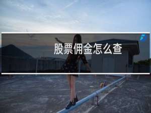 股票佣金怎么查