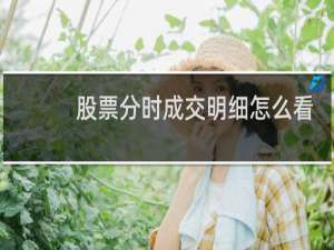 股票分时成交明细怎么看