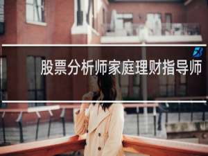 股票分析师家庭理财指导师
