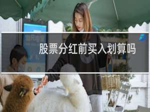股票分红前买入划算吗