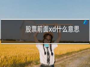 股票前面xd什么意思