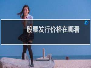 股票发行价格在哪看