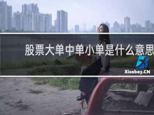 股票大单中单小单是什么意思