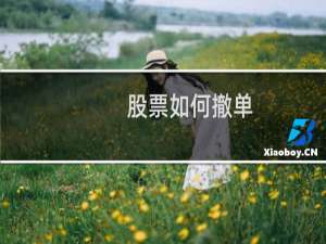 股票如何撤单