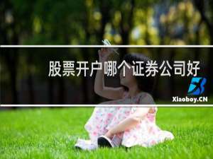 股票开户哪个证券公司好