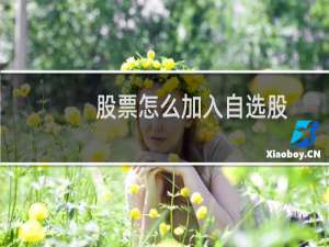 股票怎么加入自选股