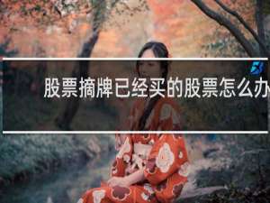 股票摘牌已经买的股票怎么办