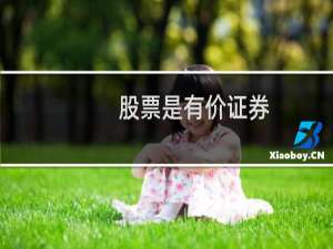 股票是有价证券