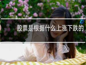 股票是根据什么上涨下跌的