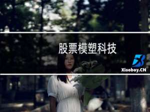 股票模塑科技