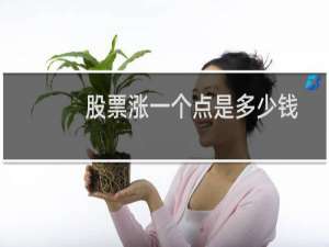 股票涨一个点是多少钱
