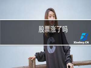 股票涨了吗