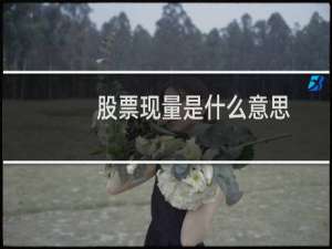 股票现量是什么意思