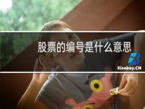 股票的编号是什么意思