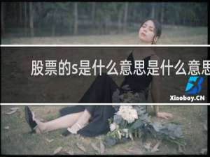 股票的s是什么意思是什么意思