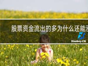 股票资金流出的多为什么还能涨