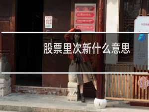 股票里次新什么意思