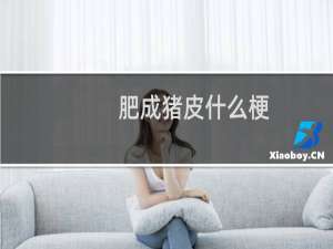 肥成猪皮什么梗