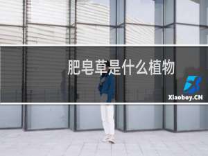 肥皂草是什么植物（肥皂草的功效与作用）