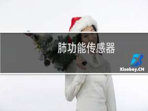 肺功能传感器
