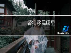 肾病移民哪里