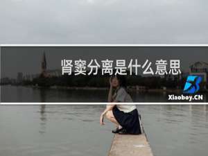 肾窦分离是什么意思（肾窦分离是什么意思）