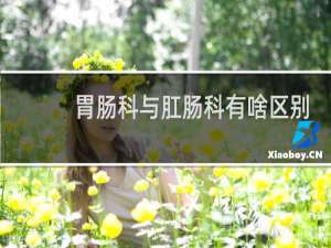 胃肠科与肛肠科有啥区别