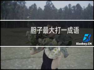 胆子最大打一成语