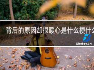 背后的原因却很暖心是什么梗什么梗