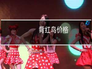 背红鸟价格