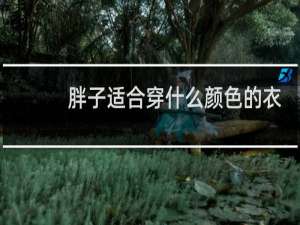 胖子适合穿什么颜色的衣服显瘦